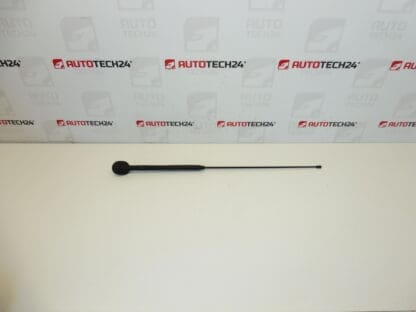 Antennisarja Citroën C3 Pluriel 6561R7 656197