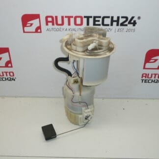 Polttoainepumppu Citroën Peugeot 77020-0H010 1507A1