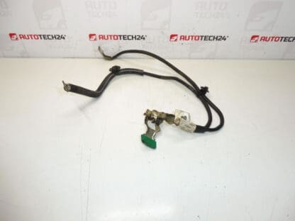 Citroën Peugeot 9661191580 miinus nippu