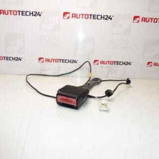 Peuge -kuljettaja passhout -haltija Peugeot 407 8975ar