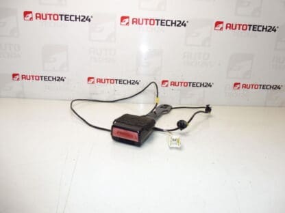 Peuge -kuljettaja passhout -haltija Peugeot 407 8975ar
