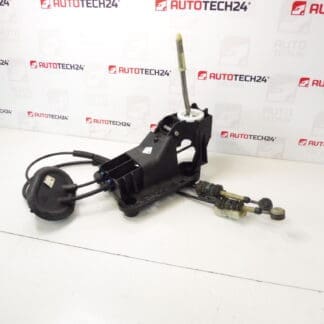 Peugeot 207 9685232980 2400JZ -vaihtovipu