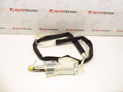 Oikea kattoturvatyyny Peugeot 207 9650247780 8331W9