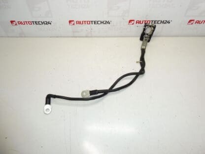 Positiivinen nippu akkulle Citroën Peugeot 1612229980
