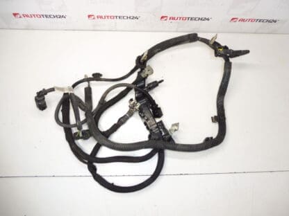 Positiivinen nippu Citroën Peugeot 1