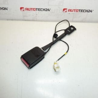Peuge Hrage Pauge oli lukituspidike 308 8975L0