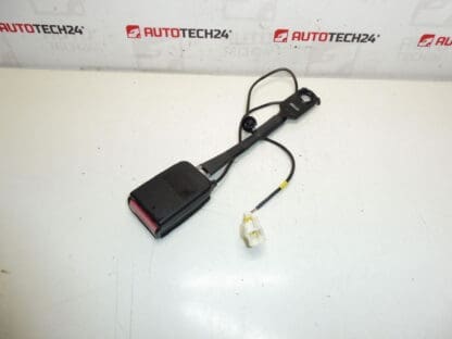 Peuge Hrage Pauge oli lukituspidike 308 8975L0