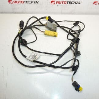 PDC johtosarja edessä Peugeot 3008 9665290080 9677246380 6584Z4